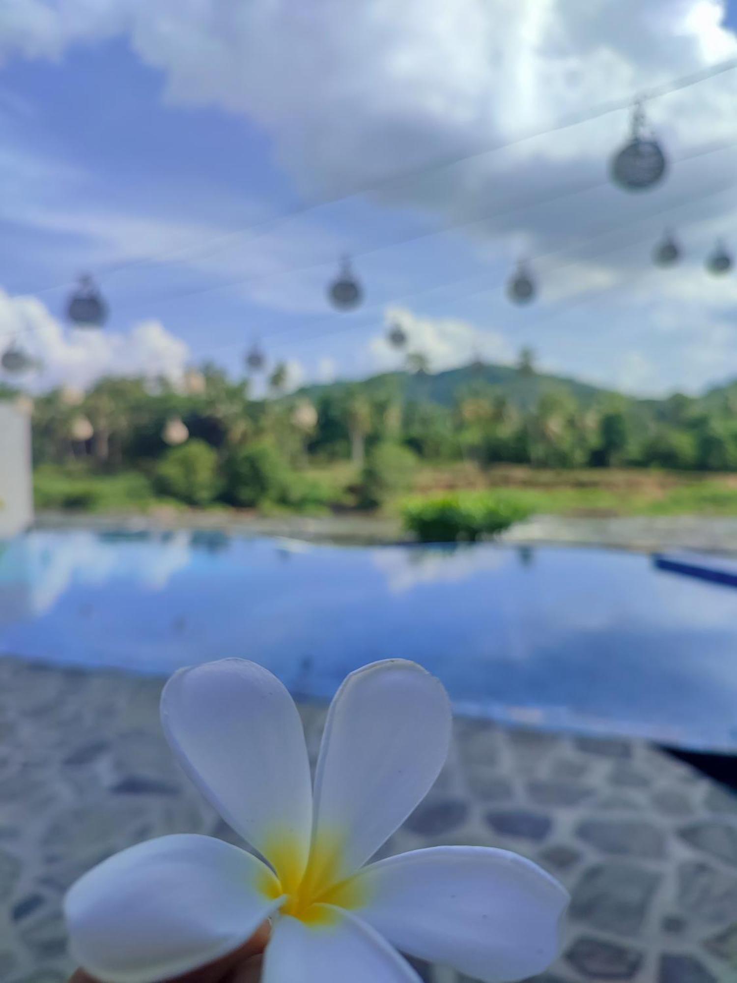 Hotel Elephant Park - New Deal! Half Off Airport Pickups Available Pinnawala (Kegalle) Exterior foto