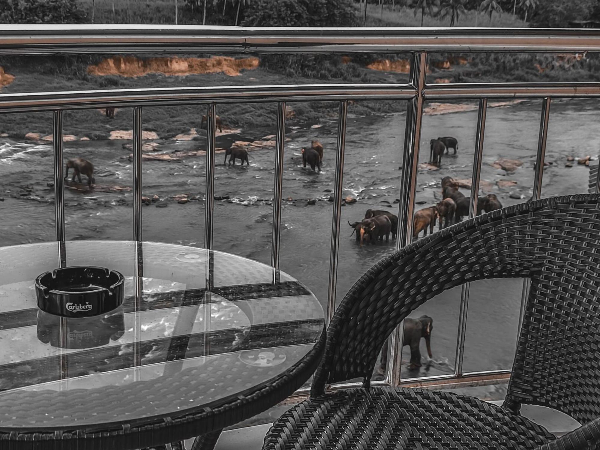 Hotel Elephant Park - New Deal! Half Off Airport Pickups Available Pinnawala (Kegalle) Exterior foto