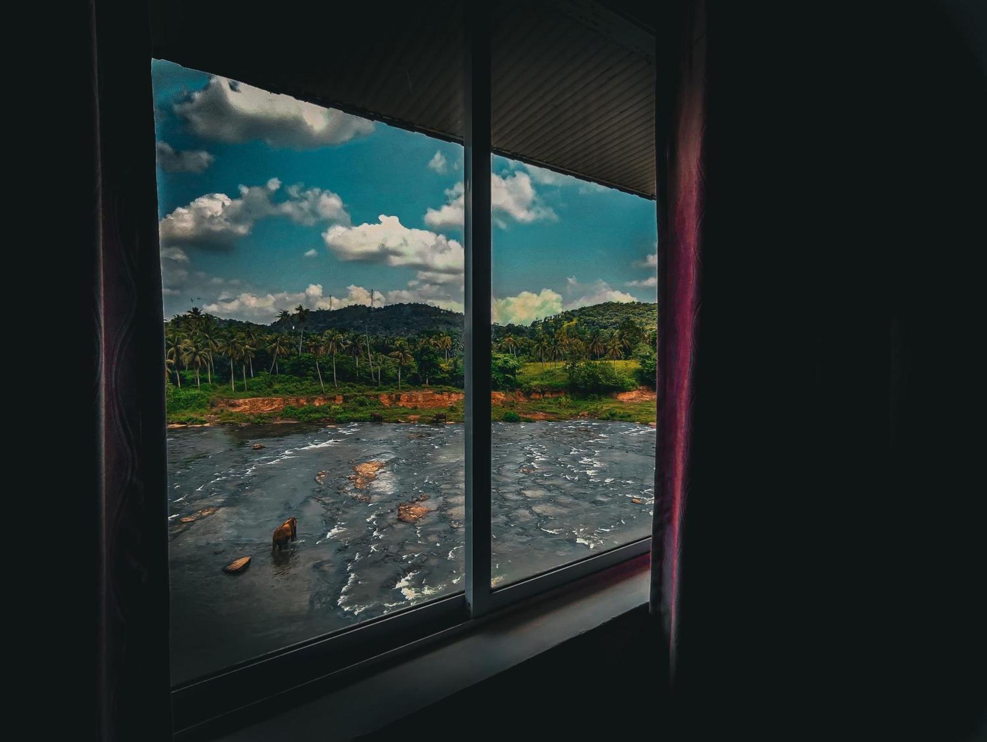 Hotel Elephant Park - New Deal! Half Off Airport Pickups Available Pinnawala (Kegalle) Exterior foto