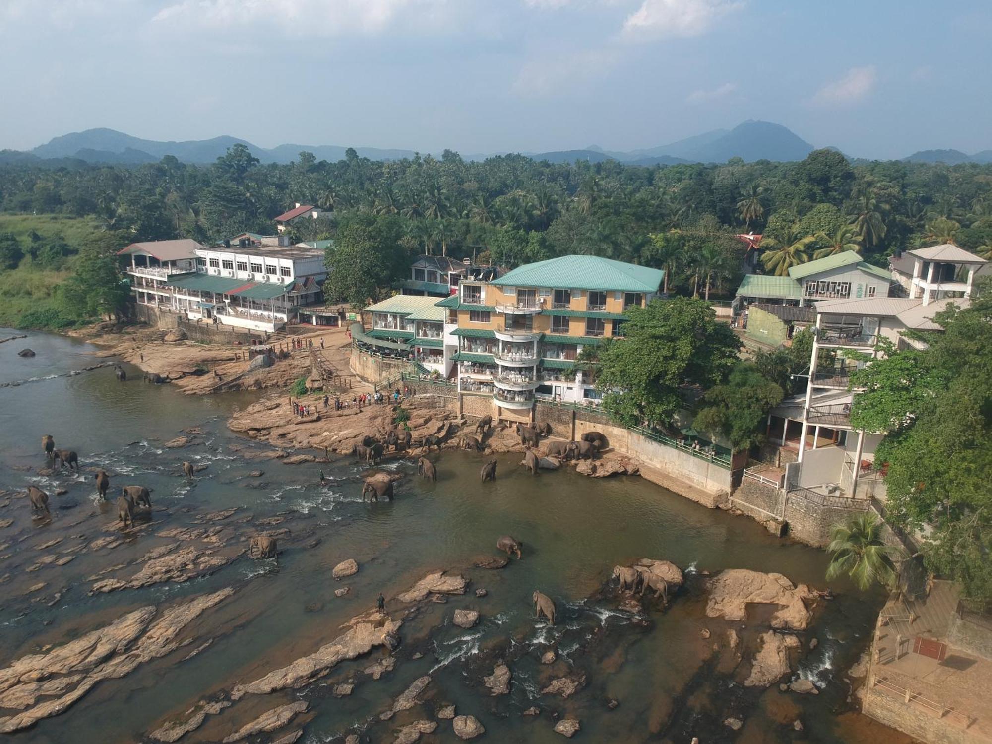 Hotel Elephant Park - New Deal! Half Off Airport Pickups Available Pinnawala (Kegalle) Exterior foto