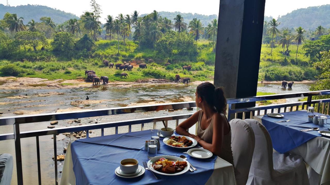 Hotel Elephant Park - New Deal! Half Off Airport Pickups Available Pinnawala (Kegalle) Exterior foto