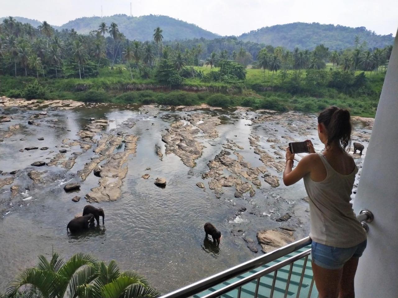 Hotel Elephant Park - New Deal! Half Off Airport Pickups Available Pinnawala (Kegalle) Exterior foto