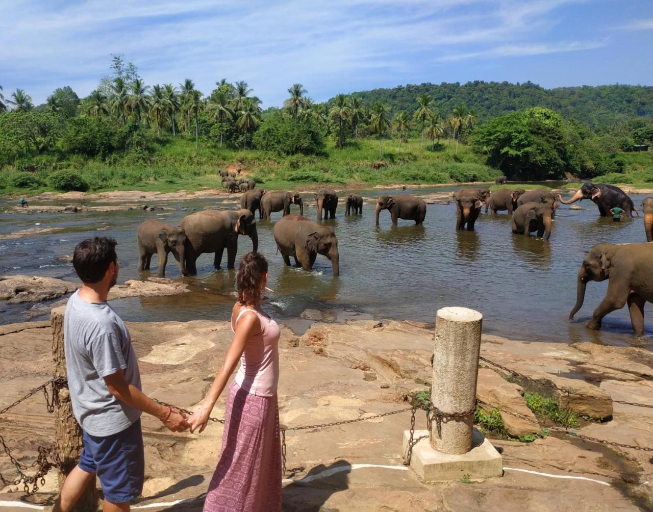Hotel Elephant Park - New Deal! Half Off Airport Pickups Available Pinnawala (Kegalle) Exterior foto