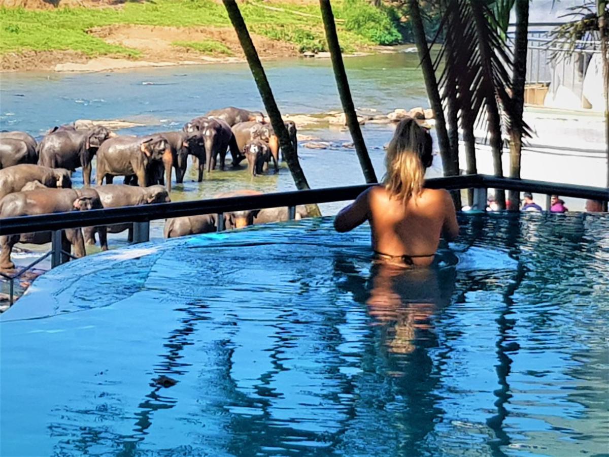 Hotel Elephant Park - New Deal! Half Off Airport Pickups Available Pinnawala (Kegalle) Exterior foto
