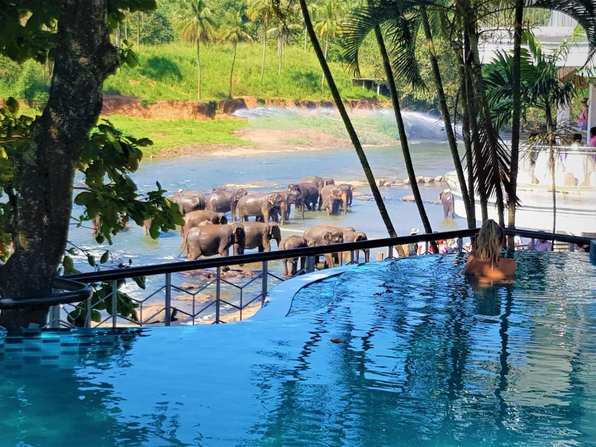 Hotel Elephant Park - New Deal! Half Off Airport Pickups Available Pinnawala (Kegalle) Exterior foto