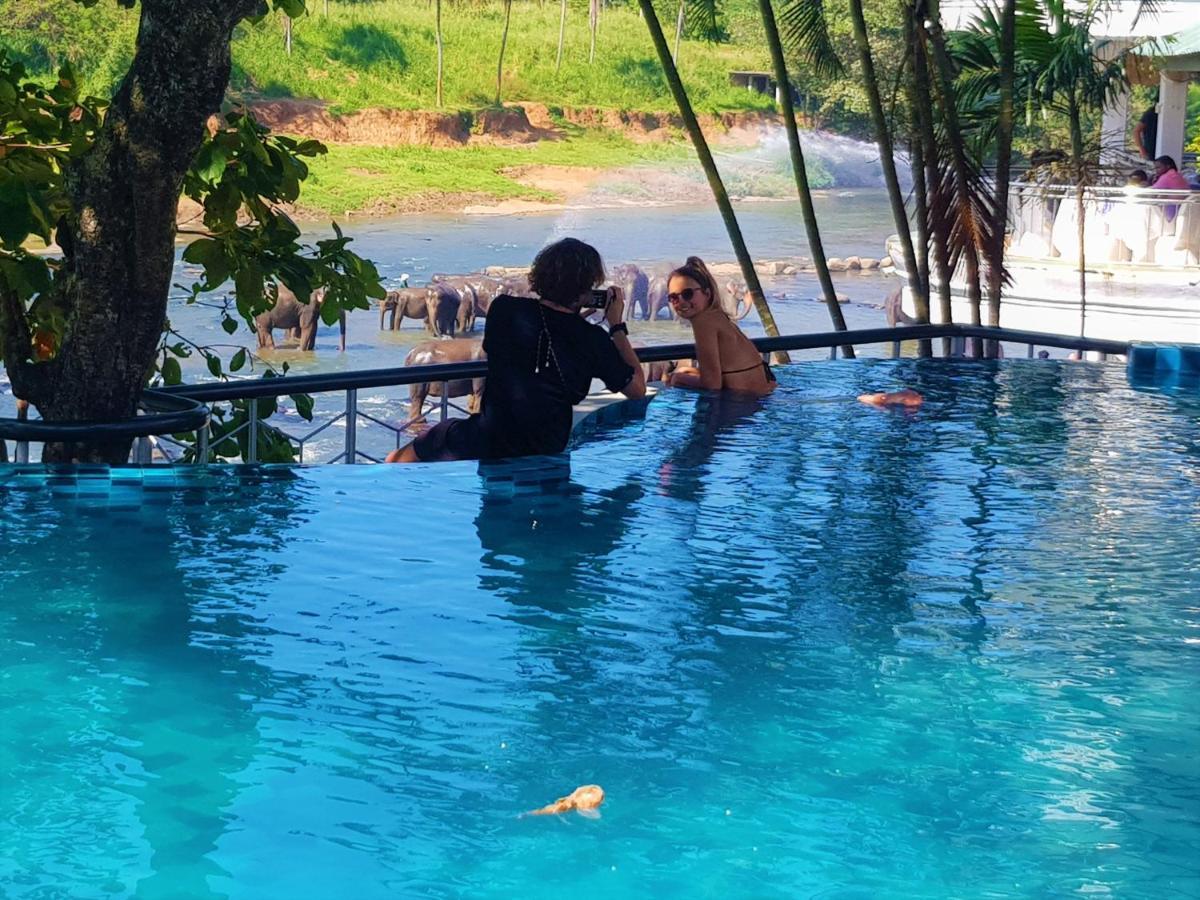 Hotel Elephant Park - New Deal! Half Off Airport Pickups Available Pinnawala (Kegalle) Exterior foto